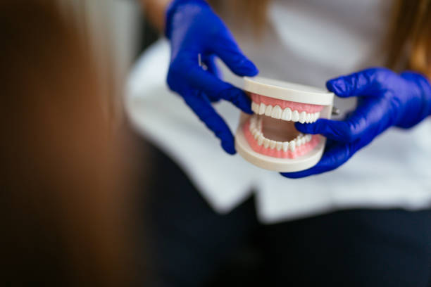 Best Orthodontics  in Rapids, NY